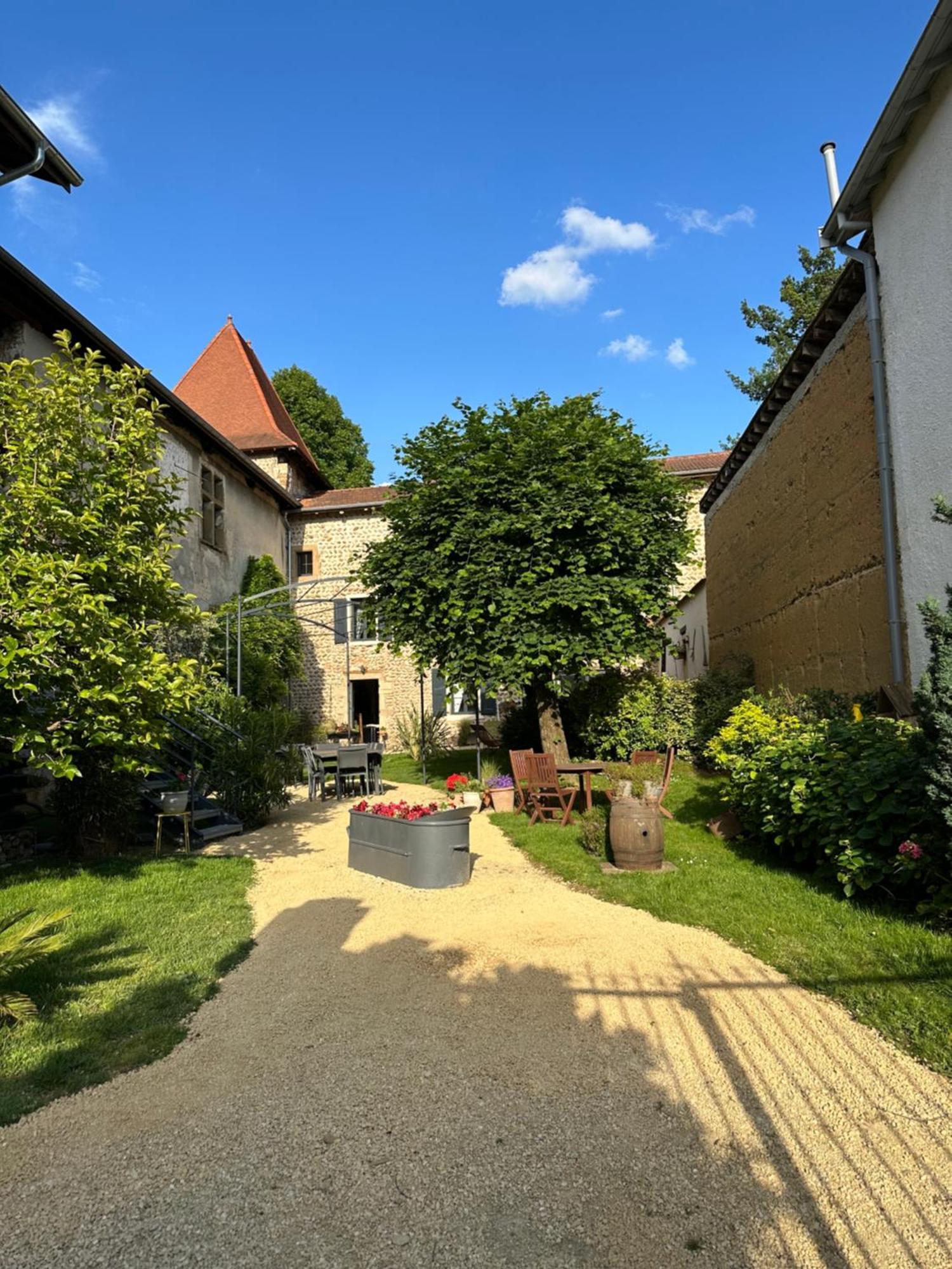 Chateau De La Saone Lens-Lestang Zewnętrze zdjęcie